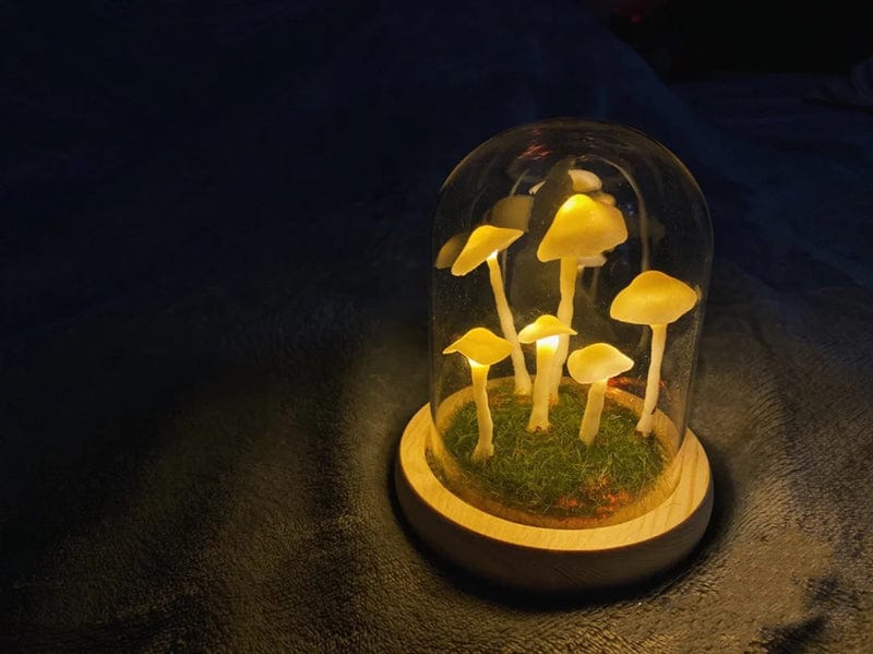 TheNewWave™ | DIY Paddenstoelen in een glas